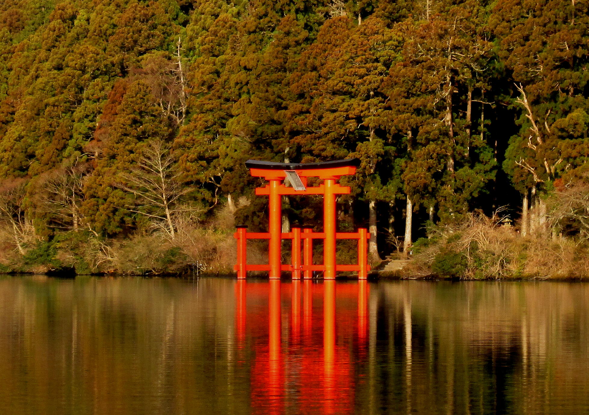 hakonejinja